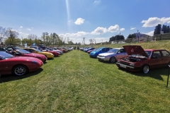 346973807_118748364525867_5536919949226091626_n_249318867754462