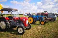 375051927_313381074681574_7491900960155180541_n_313381088014906