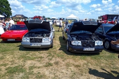354940534_275106305175718_4272379058651280327_n_275106315175717