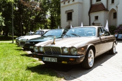 350518058_780736046879642_8956896272090021530_n_259107783442237